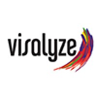 visalyze logo - Similar company to Viking Software