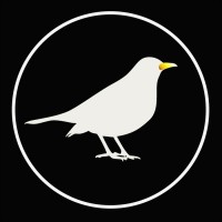 Blckbrd Sound Branding