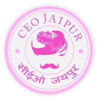 Ceo Jaipur logo - Similar company to Stratum Analytics