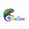 CAMLION STUDIOS logo - Similar company to Crevo Waves