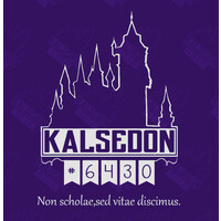 Kalsedon #6430 logo - Similar company to Troymun
