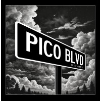 Pico Blvd Entertainment, LLC logo - Similar company to Brand Voice Solutions