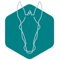 Wacky Donkey Tech Hive logo - Similar company to Oviview Video Interview Solutions