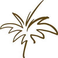 Palm Optical logo - Similar company to Biz Learning Lab