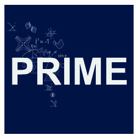 TU Delft | PRIME logo - Similar company to Slimwonen App