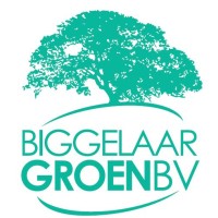 Biggelaar Groen B.V. logo - Similar company to Akutan Thuisbatterijen