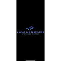 CLC Medical Staffing and Recruitment logo - Similar company to Hire Division Staffing And Recruitment