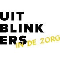 Uitblinkers in de zorg logo - Similar company to Toekomstproef