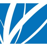 Paper Excellence Brasil logo - Similar company to Domtar