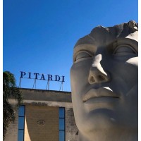 Pitardi Cavamonti S.r.l. logo - Similar company to F.Lli Pitardi S.R.L.