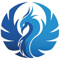 STIRM Group Inc.