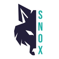 Security NOX logo - Similar company to Cisoservicechile