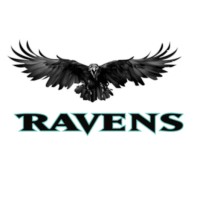 Ravens FZE LLC logo - Similar company to Tradeadapter