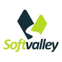 Soft-valley Technology PLC logo - Similar company to Michutech It Solutions