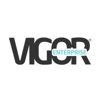 Vigor Enterprise logo - Similar company to Mars Venus Coaching