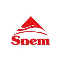 SNEM logo - Similar company to Snem-Ci