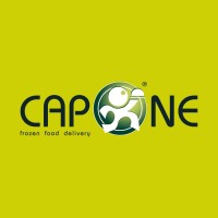 CAPONE PIETRO S.R.L. logo - Similar company to Lavarent