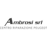 Ambrosi srl logo - Similar company to Elettricars