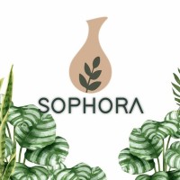 Sophora Cosmética logo - Similar company to Cosmética Katalia