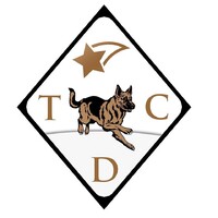 The Conservative Dissent logo - Similar company to The Conservative Reader