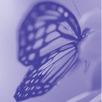 Sophie Bell And Associates
