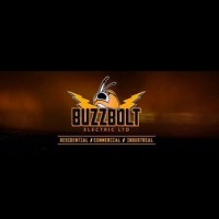 BuzzBolt Agency logo - Similar company to Promiqa