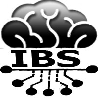 IBS Pakistan logo - Similar company to Digitech Today