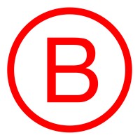 Brueckmann Strategy Consultants Ltd. logo - Similar company to Bixpert Strategy