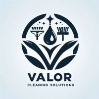 Valor Cleaning Solutions logo - Similar company to Valor Services Group