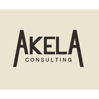 Akela Consulting logo - Similar company to Methodical Finance