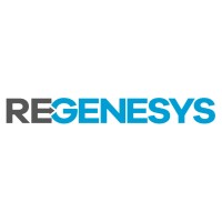 Regenesys Consulting Inc. logo - Similar company to Regenesys Bv