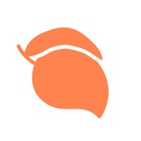 Mango Group logo - Similar company to Mango Group