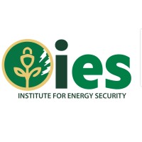 Institute for Energy Security (IES) logo - Similar company to Hydrogem Inc