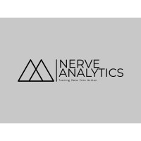 Nerve Analytics logo - Similar company to Wahupa