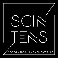 scintens logo - Similar company to Atomic Néon
