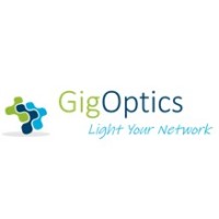 GigOptics Inc. logo - Similar company to Datainterfaces