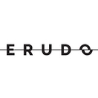 ERUDO logo - Similar company to Equilibre Games