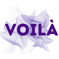 Voilà Digital logo - Similar company to Pixelume Managed Digital Services