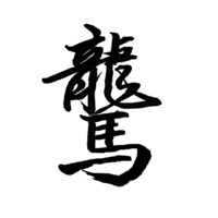 Wyvern Investigation Agency logo - Similar company to Counter Intelligence Services