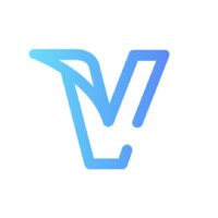 Vizamerica logo - Similar company to World Bridge Dcs