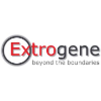 Extrogene Software (Pvt) Ltd. logo - Similar company to Interack Technologies Global