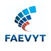 FAEVYT logo - Similar company to Bitwage Latam