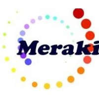 Meraki tech Solutions logo - Similar company to Intact Environment