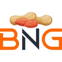BNG INTERNATIONAL logo - Similar company to Imperial Agri Export