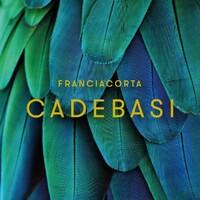 Cadebasi Franciacorta - Ristorante logo - Similar company to Ennova Srl