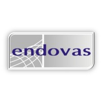 Endovas logo - Similar company to Ems Uruguay