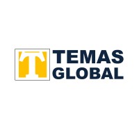Temas Global logo - Similar company to Ptms