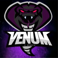 VenuM e-Sports logo - Similar company to Rastreiocar