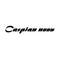 Noora Caspian logo - Similar company to Noorix