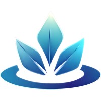 Digital Mindset Academy logo - Similar company to Smm Flow